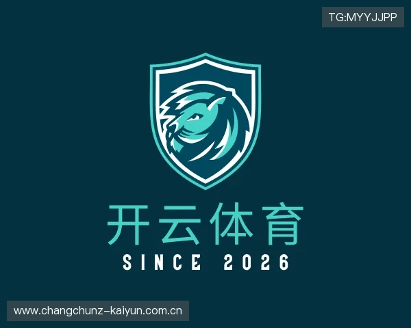 解读开云体育app下载